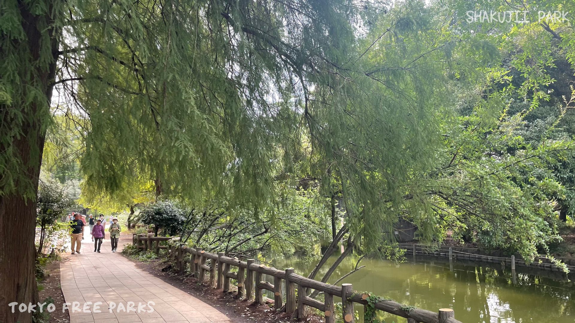 SHAKUJII PARK – A Historic Oasis of Water and Greenery | Nerima, Tokyo ...